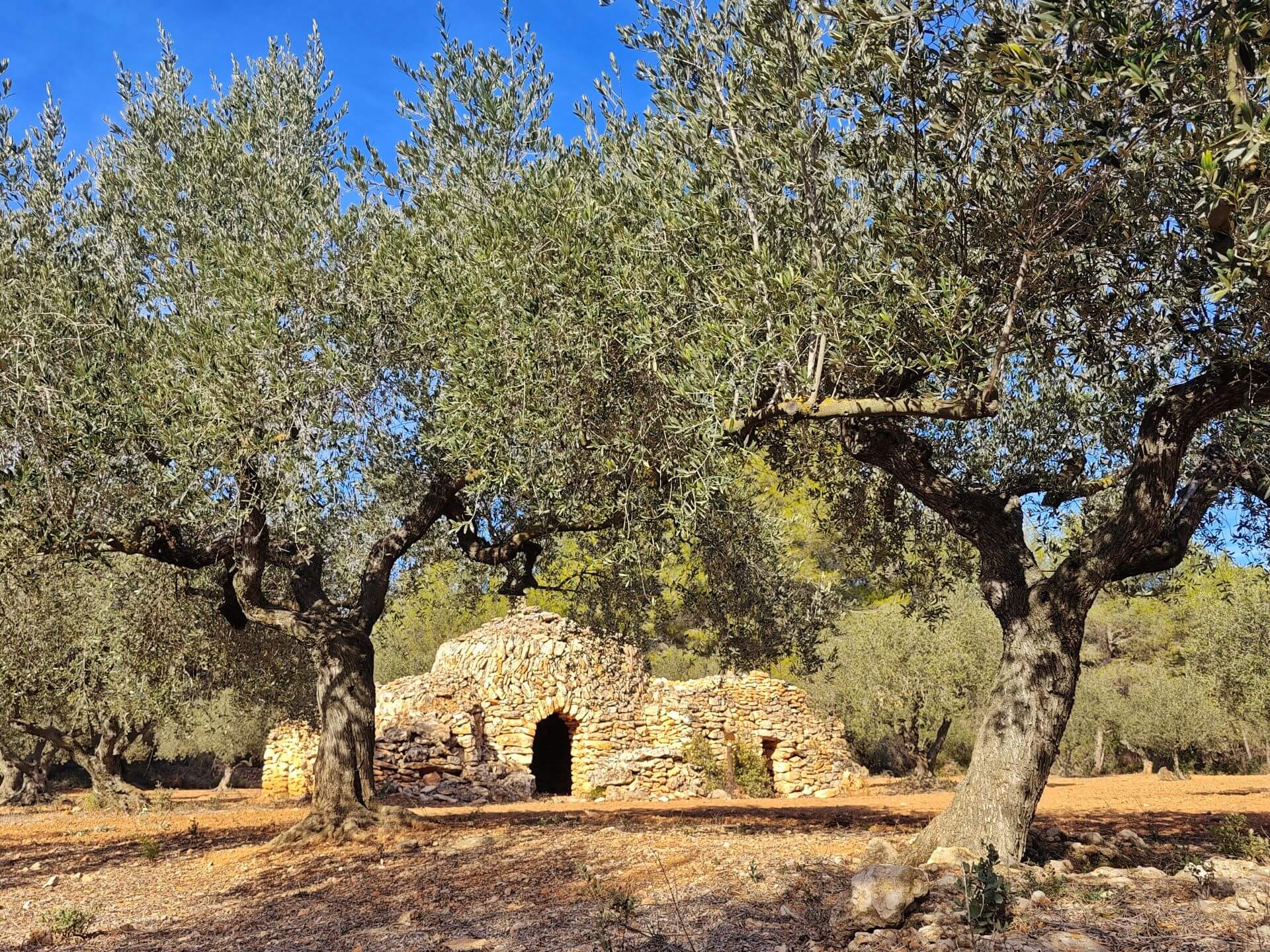 The Capona Route in Pla de Santa Maria