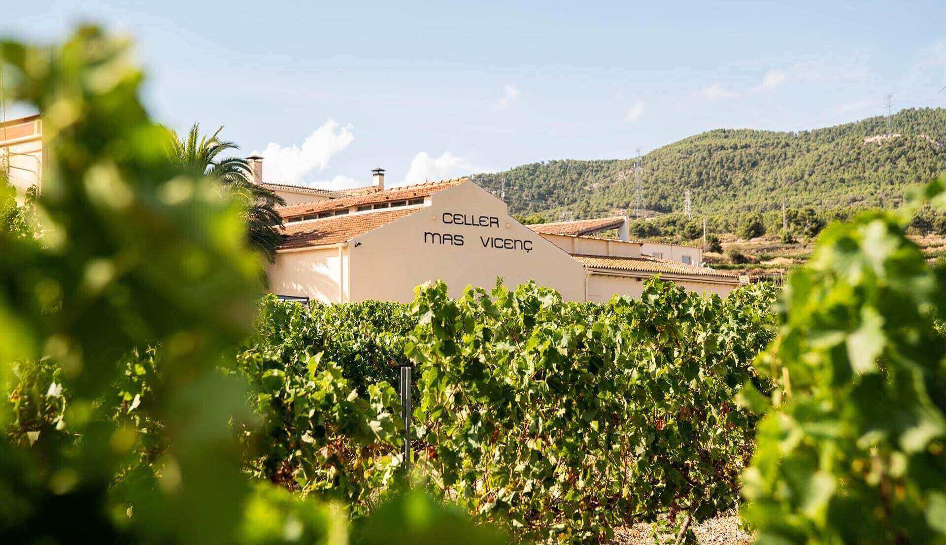 Festa de la Verema al Celler Can Vicenç