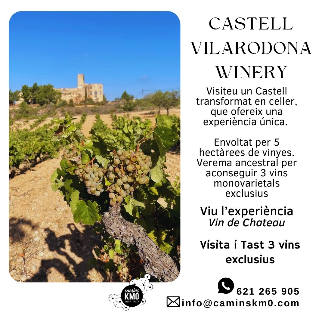 Visita el Castell de Vila-rodona Winery