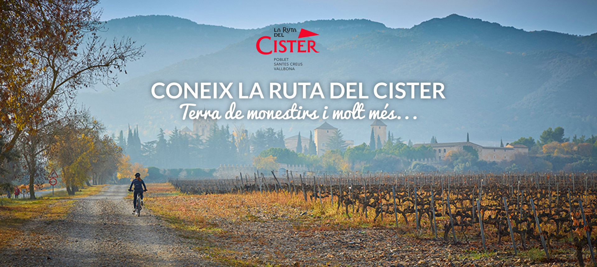 You are currently viewing La Ruta del Cister estrena web específic per al GR 175