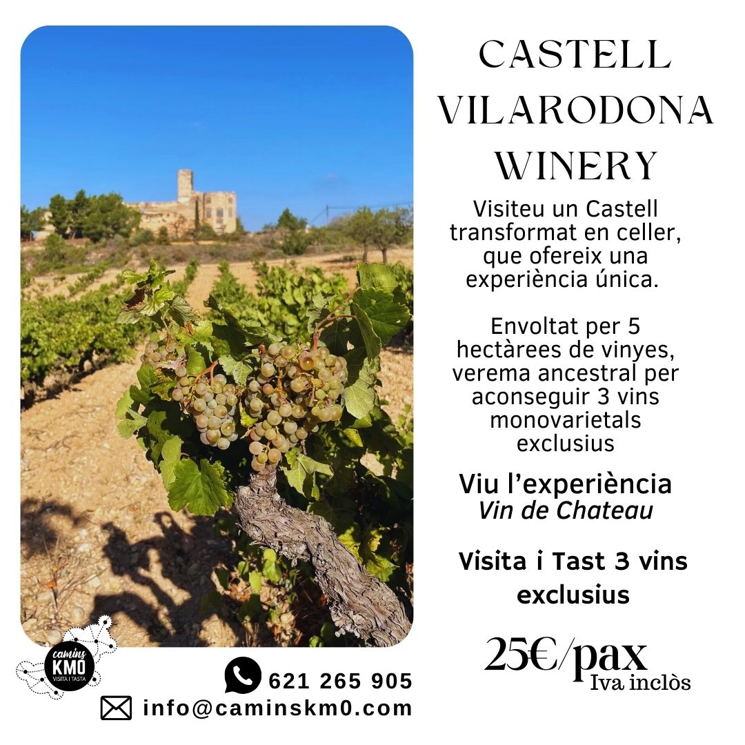 Visita guiada al Castell de Vila-rodona