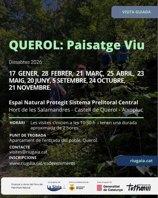 Querol: paisatge viu