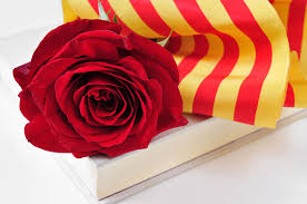 Diada de Sant Jordi a l’Alt Camp