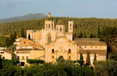 Visites guiades al Monestir de Santes Creus
