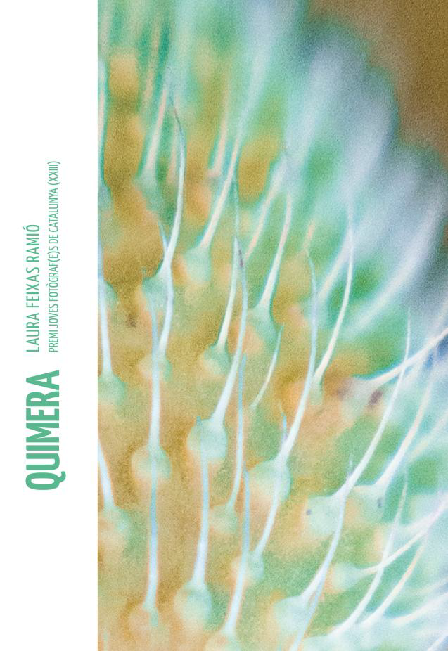 Exposición: Quimera de Laura Feixas Ramió